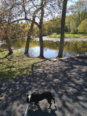 Southford Falls State Park