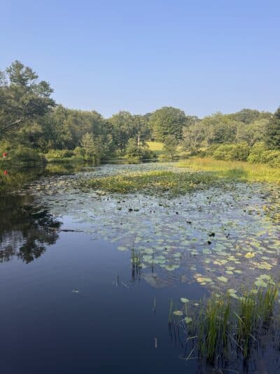 Southford Falls State Park - Southbury, CT