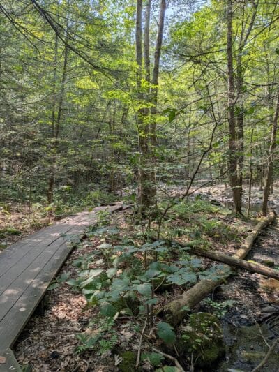 Southford Falls State Park - Southbury, CT