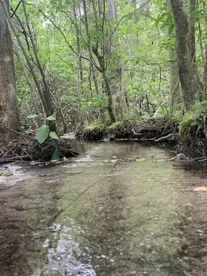 Martin Dog Park - Southern Pines, NC
