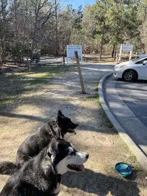 Martin Dog Park - Southern Pines, NC