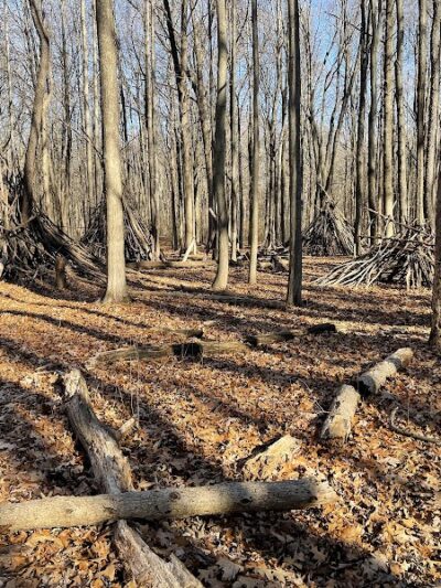 Bauervic Woods Park - Southfield,