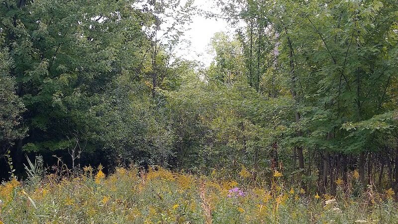 Freeway Park - Southfield,
