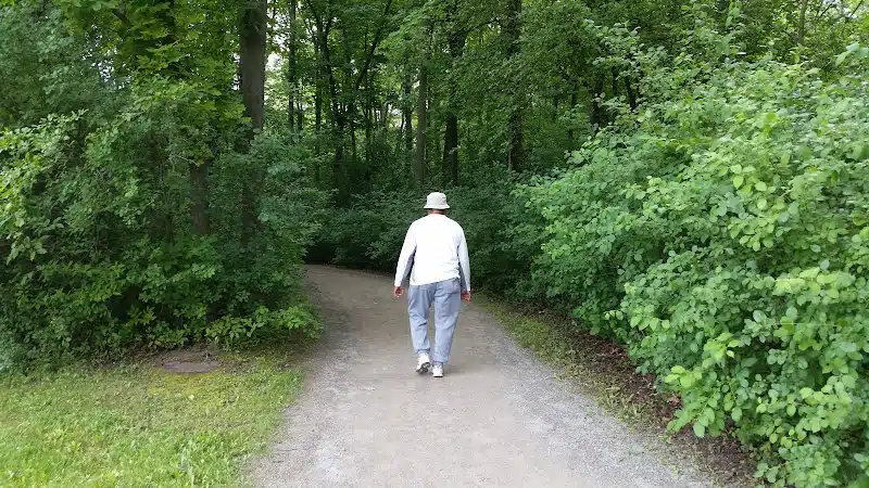 Inglenook Park - Southfield,