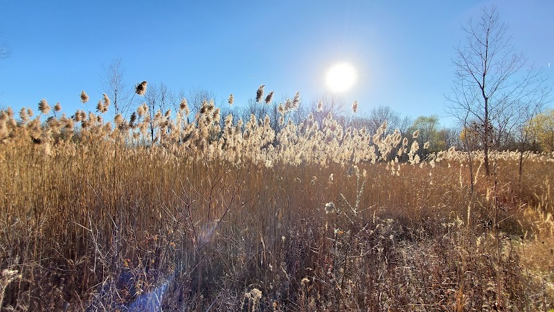 Lincoln Woods Nature Preserve - Southfield,