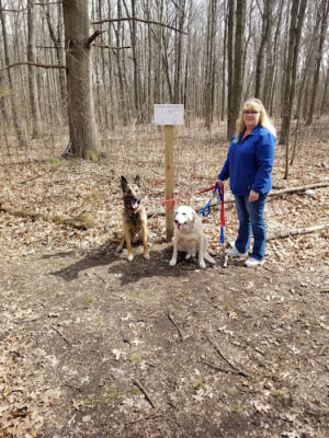 Bauervic Woods Park