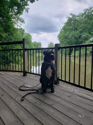 Carpenter Lake Nature Preserve
