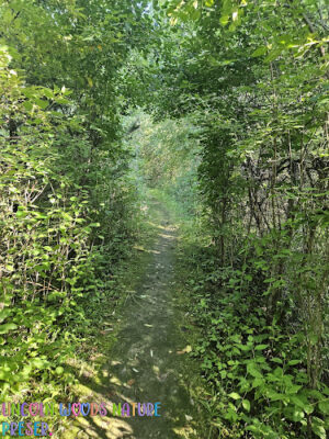 Lincoln Woods Nature Preserve