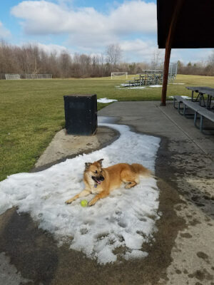 Pebble Creek Park