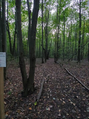 Trailhead #1