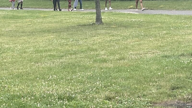 Pebble Creek Park - Southfield,