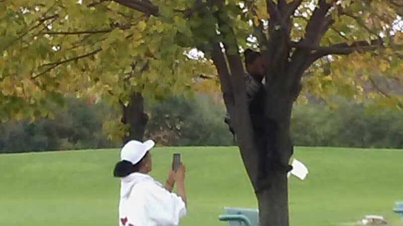 Pebble Creek Park - Southfield,