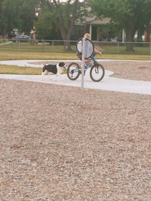 Rotary Park