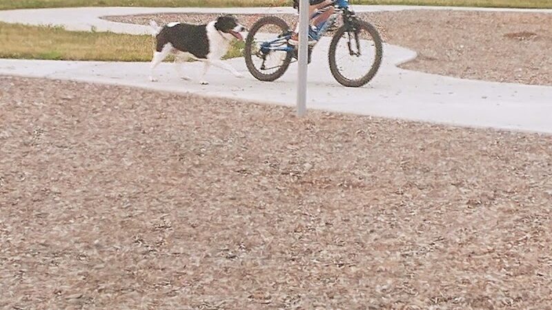 Rotary Park - Southgate,