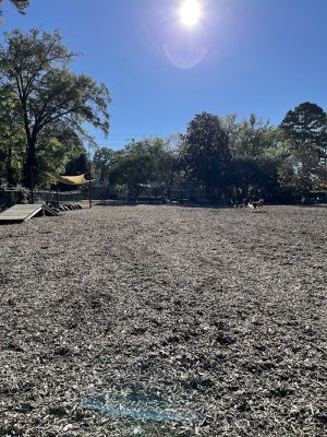 Rail Trail Dog Park