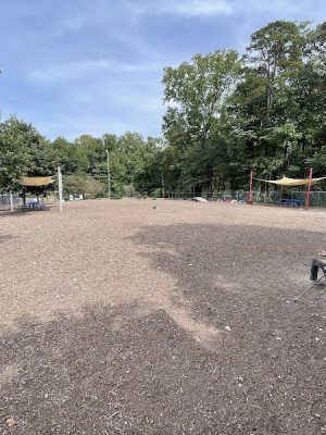 Rail Trail Dog Park