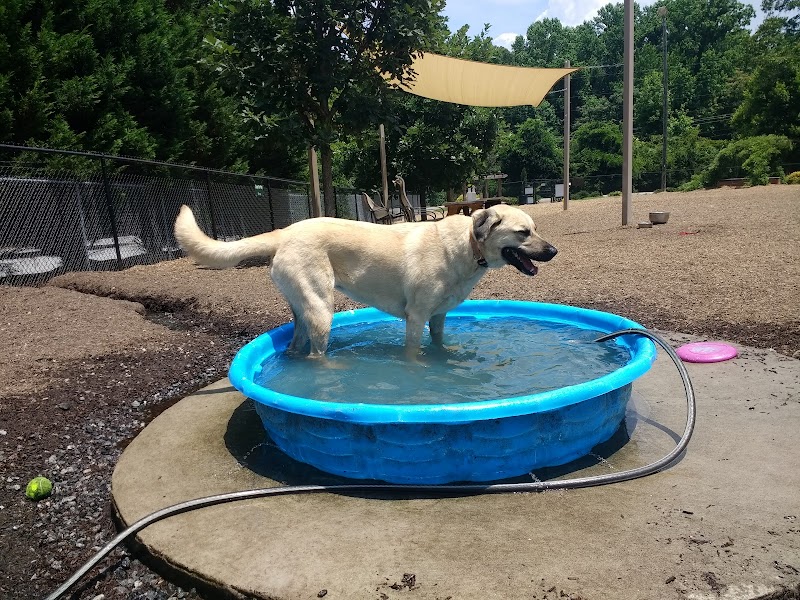 Rail Trail Dog Park - Spartanburg, SC