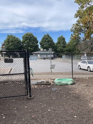 Rail Trail Dog Park