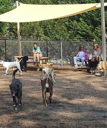 Rail Trail Dog Park