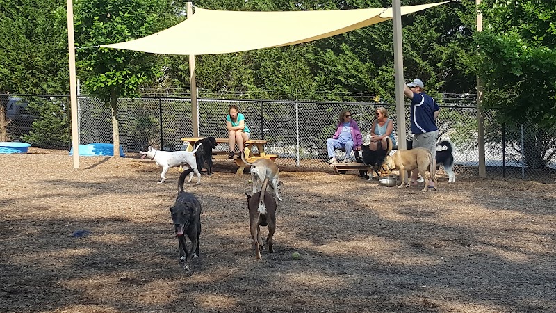 Rail Trail Dog Park - Spartanburg, SC