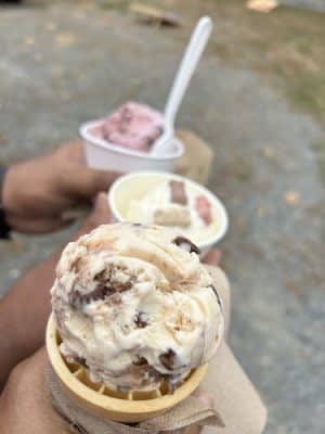 Yukon's Treats