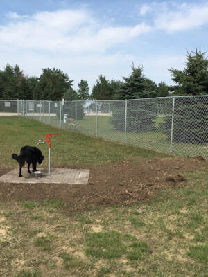 Lakes Area Dog Park