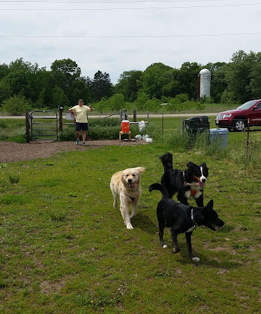 Spring Green Dog Park