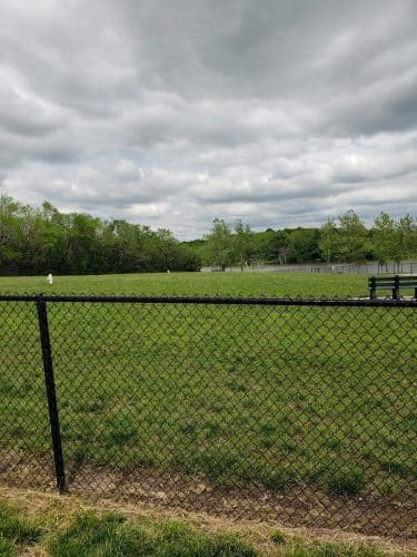 Melvin Murry Dog Park - Spring Hill, KS