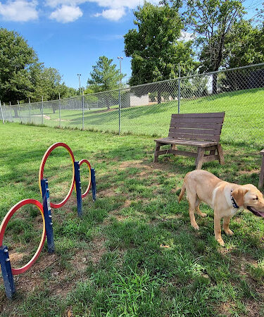 Spring Hill Bark Park