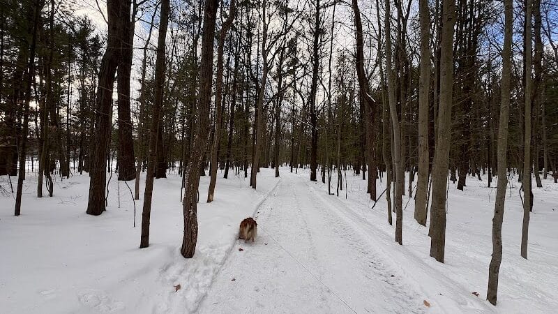 Coast Guard Park - Spring Lake,