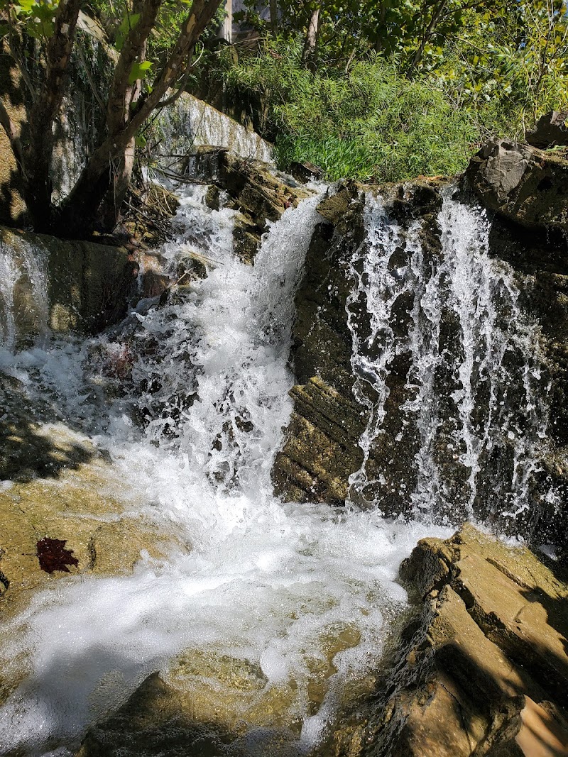 Mountain Lake - Springer, OK
