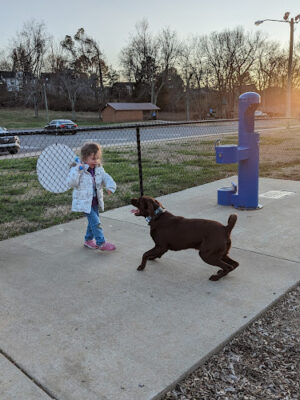 Garner Street Park