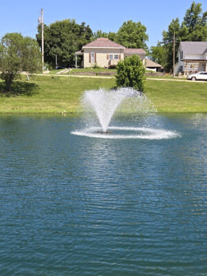 Cox Lake Park