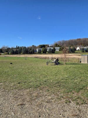 Marc's Barc Parc