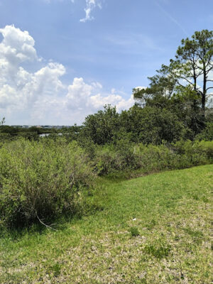 Coquina Park