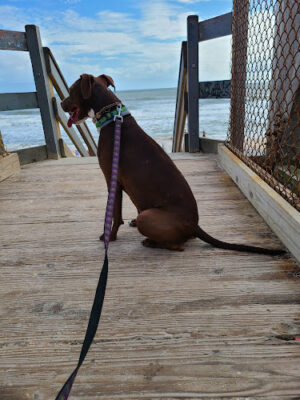 North Beach Park