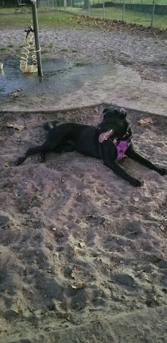 Shae Burchfield Memorial Paw Park