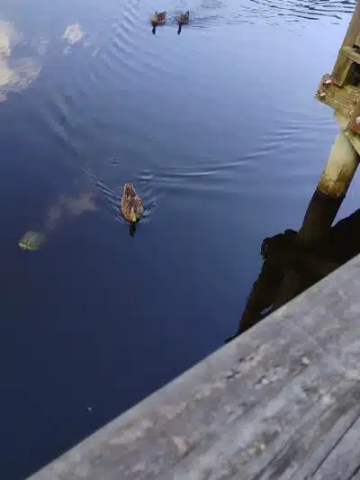 Treaty Park - St. Augustine, FL