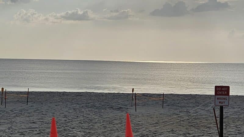 Vilano Drive on Beach - St. Augustine, FL