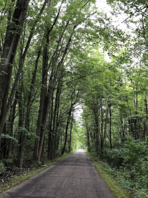 Saginaw Valley Rail Trail St Charles Trailhead