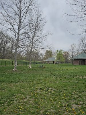 DuSable Dog Park
