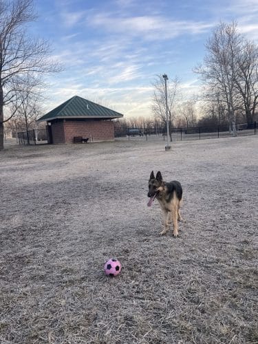 DuSable Dog Park