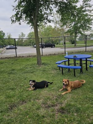 DuSable Dog Park