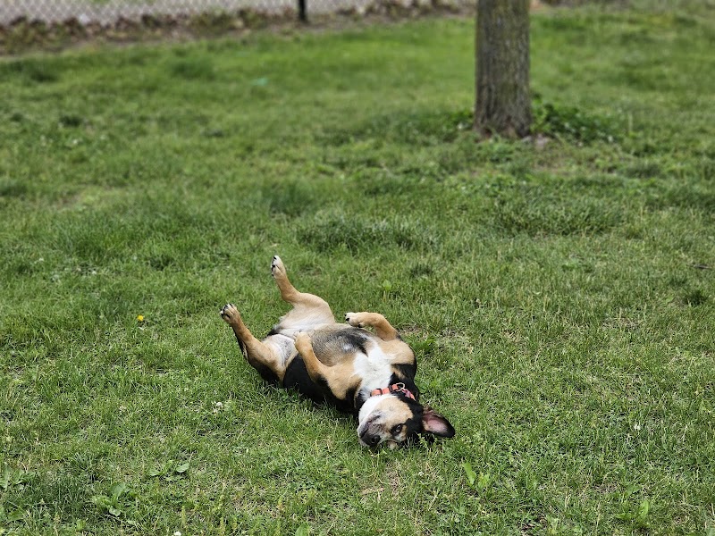 DuSable Dog Park - St Charles, MO