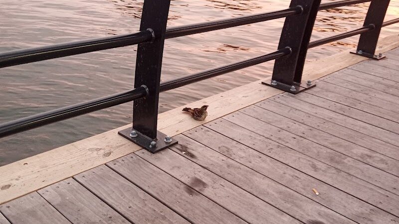 Blossom Heath Pier - St Clair Shores,