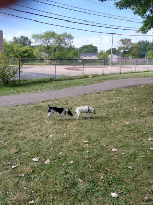 Brys Park