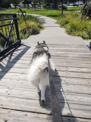 Wahby Park