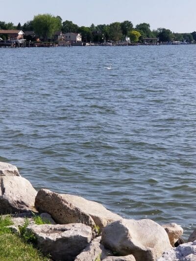 Veterans Memorial Park - St Clair Shores,
