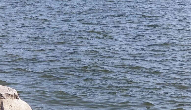 Veterans Memorial Park - St Clair Shores,