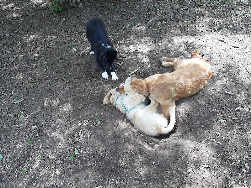 Friends of Whitney Dog Park - St Cloud, MN
